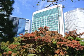 gty߂ul{뉀v𗣂ꂽ̃IAVX̋LTlC