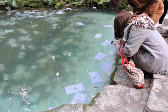 恋占いは必見 島根 八重垣神社 は縁結びの超パワースポット 島根県 Lineトラベルjp 旅行ガイド