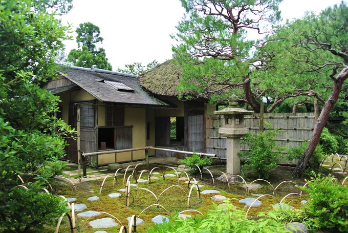 千利休ゆかりの茶室も！島根「出雲文化伝承館」で歴史を体感 | 島根県
