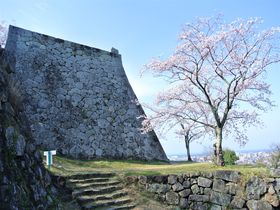 桜も絶景も楽しめる名城！鳥取県「米子城」で春を満喫