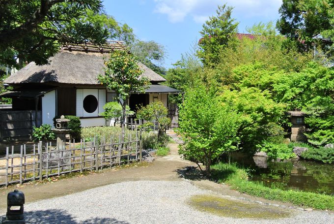 �~���������I�Ȋό����͕K��