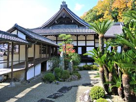 和歌山「根来寺庭園」3つの庭園を一度に鑑賞できる贅沢な寺院