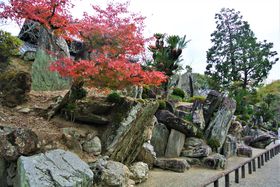 �_�C�i�~�b�N�Ȍ͎R���Ɉ��|�����I�a�̎R�u���͎��뉀�v�̋L���T���l�C��