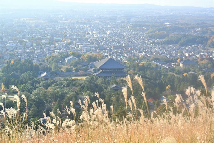 奈良市街を一望できる絶景