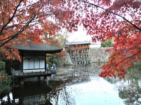 紅葉は必見！「和歌山城西之丸庭園」で癒しの時間を過ごす