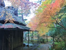大人の癒し自然スポット！奈良「吉城園」で紅葉を楽しもう