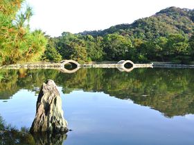 和歌山「養翠園」海水を引き込んだ江戸時代の雄大な庭園は必見
