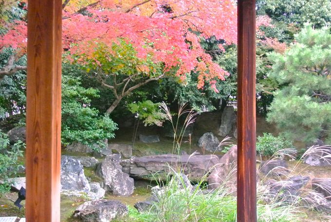 �������g�t���ő�̌��ǂ���