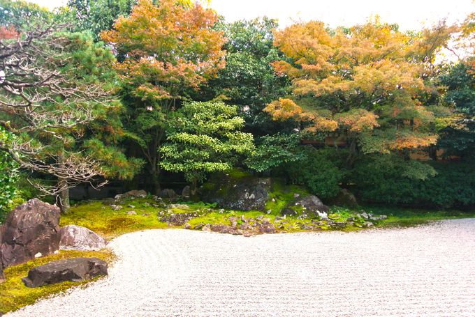 2�̒뉀�͌������Ȃ�