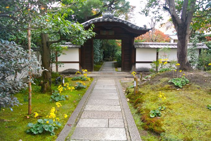 �k�����̂��߂Ɍ��Ă�ꂽ���@