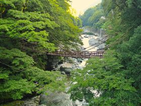 �����u�c�J�̂����狴�v�Y��Ȏ��R�ƃX�������_�̋������\