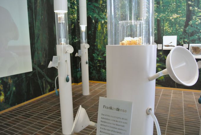 �M�d�ȍ����̌��ł���{��