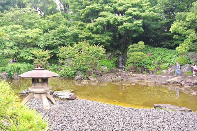 �l�X�Ȍi�ς��y���߂�r���V���뉀