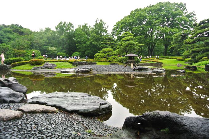 �l�X�Ȍi�ς��y���߂�r���V���뉀