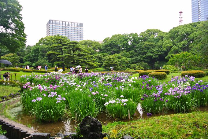 �]�ˎ��㏉���ɑ������ꂽ���j����뉀