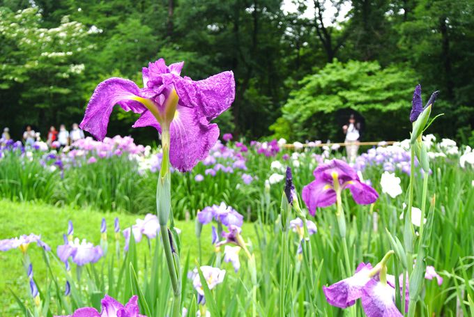 �G�߂��Ƃ̌i�ς��������Ȃ�