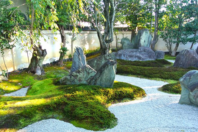 ���_���Ȓ뉀������Ƃ���d�X�O�悪��炵���@��