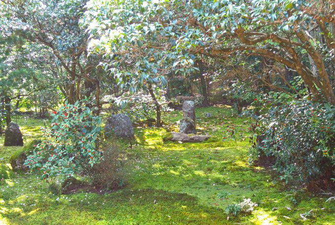 ���s�s�o�^�����̒뉀�͕K��