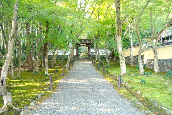 �|�т��L����R�����鎛�@