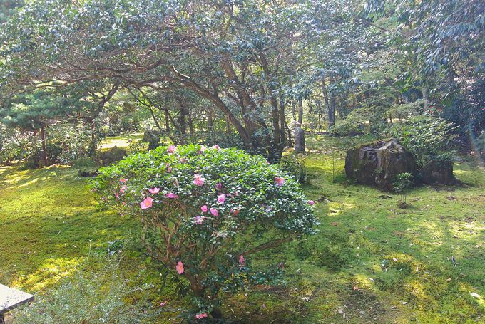 ���s�s�o�^�����̒뉀�͕K��