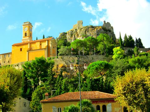 �����l�C���Q�I�t�����X �G�Y�̂������ߊό��X�|�b�g5�I�̋L���T���l�C��