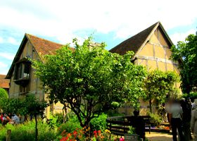 VFCNXsǍ̋IXggtH[hEA|EGC{͂̂ǂȓcɒ̋LTlC