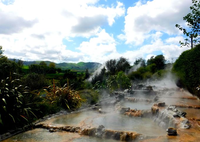 j[W[hk̊όɔQ̃ANZXI