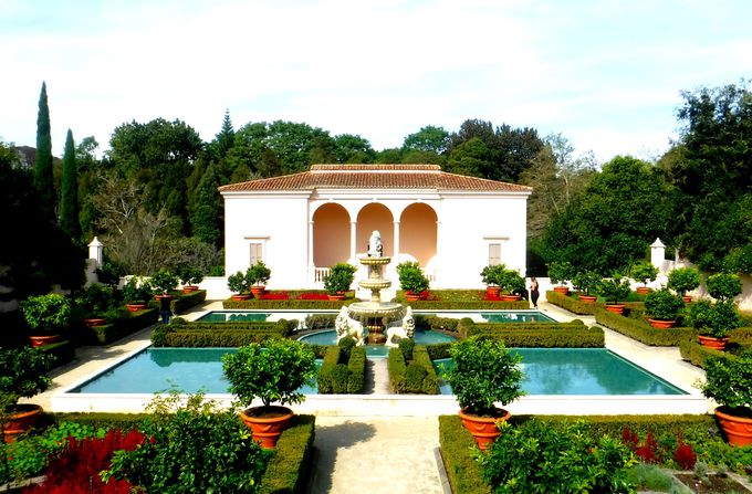 j[W[hk̊όɔQ̃ANZXI