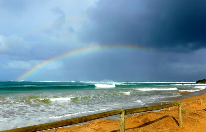 �u�A�|���x�C�v����u�O���[�g�I�[�V�������[�h�v�܂ł̗l�X�ȕ��i