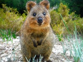 p[XEbglXgōK鏬uNIbJvƋY悤I̋LTlC