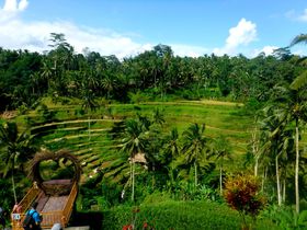 SҕKIoEuhŐΊOȂόX|bgTI̋LTlC