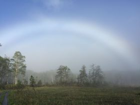 ""!?@Rɔ܂Ă̐iI̋LTlC