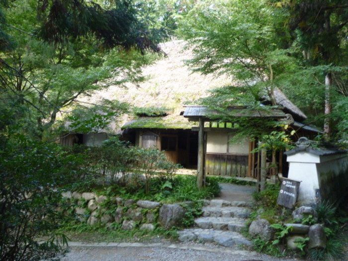 vߍ]𖡂͔E҉~ŔE҂ɂȂłHI