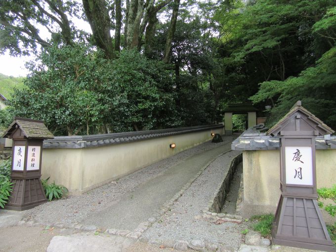 {̋ɂ̂ĂȂ ucvŐiΗ