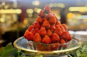 ƌNIurbtFv̓zej[I[^jł̋LTlC