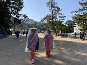 珍しい壺装束体験を宮島で！「紅葉の賀」で女子旅を楽しむ