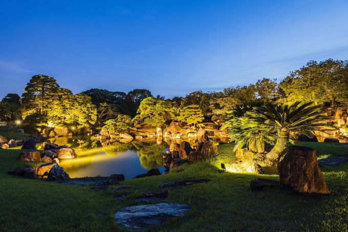 Ԗ͗l̒񓔂ɓÅے뉀ցI