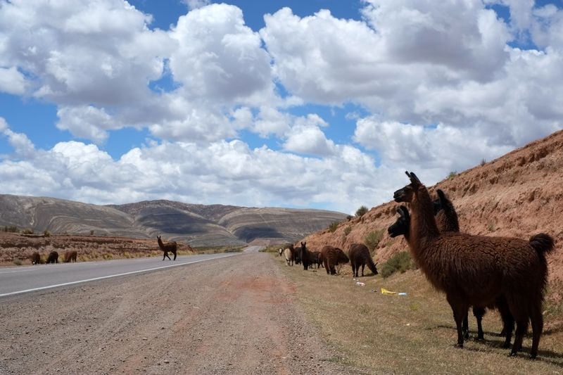 美しきウマワカ渓谷の旅！アルゼンチン北部・虹色の山肌が広がるアンデスの桃源郷