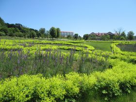 美しい癒しの英国風庭園！北海道由仁町「ゆにガーデン」の魅力