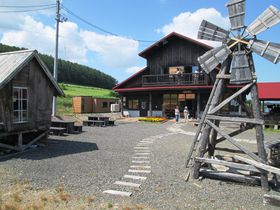 f̕I〈su󐅃Ci[v̓ʂȃCƖ̕i̋LTlC