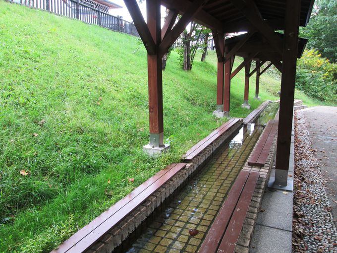 �u�����̏��v�����Ȃ��瑫���ɂ����ґ�I