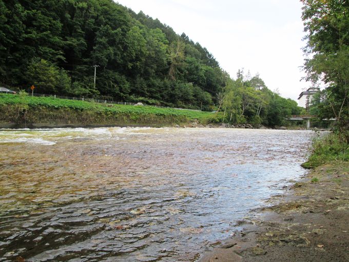 ������́u�����̏��v�͌��̂悤�ȐF�̐�ꂪ������