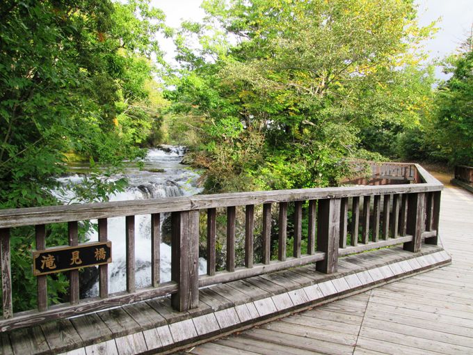 �u�O�K������v�Ń}�C�i�X�C�I���������Ղ藁�т悤�I