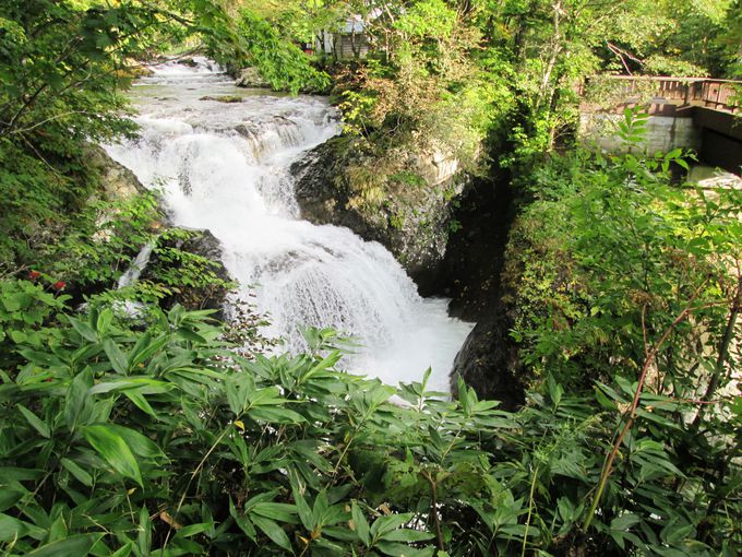 �u�O�K������v�Ń}�C�i�X�C�I���������Ղ藁�т悤�I