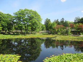 R̒ŃtbVIkC〈s̊όSI̋LTlC