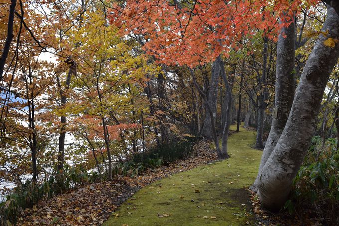 ΔȂ̎؂̊Ԃӂ̏aucRώ@v