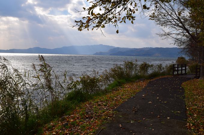 ΔȂ̎؂̊Ԃӂ̏aucRώ@v