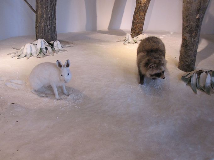 kC̎RΎRɂĊwׂu΃rW^[Z^[v