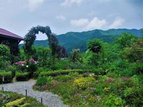 蔵王連山が借景のお庭「ペンションあっぷる」野山のお花畑