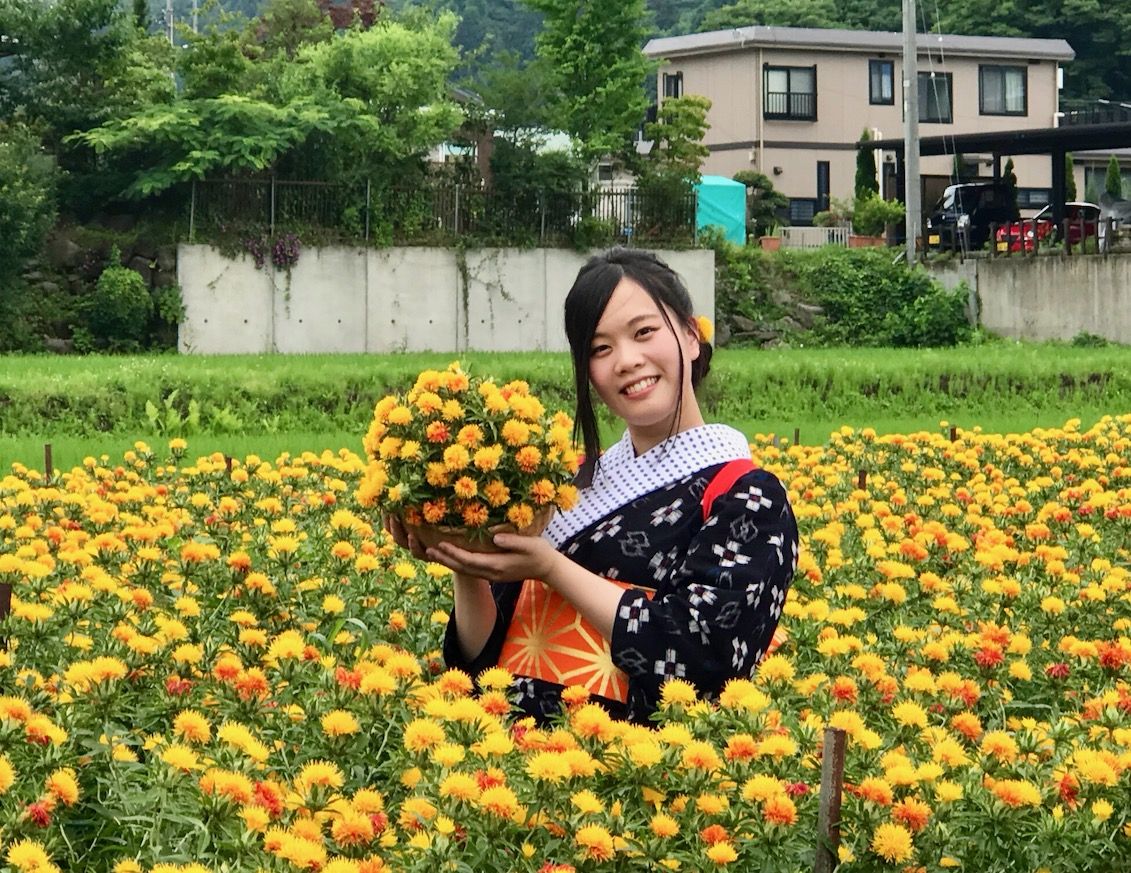 日本遺産認定 山形紅花まつり 紅花娘写真撮影会に参加しよう 山形県 トラベルjp 旅行ガイド